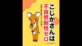 こじかさんは不自然耐性ゼロ（20260520） #ストレスフリー #自己実現  #個性心理學