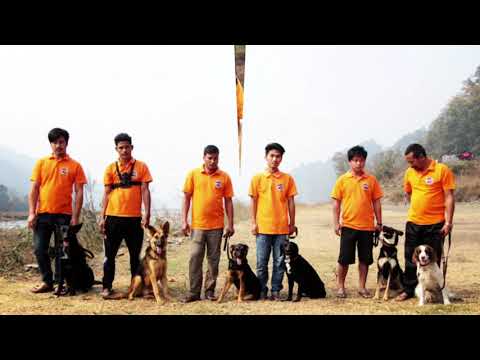 Sardogs Nepal from 2008 till 2018.