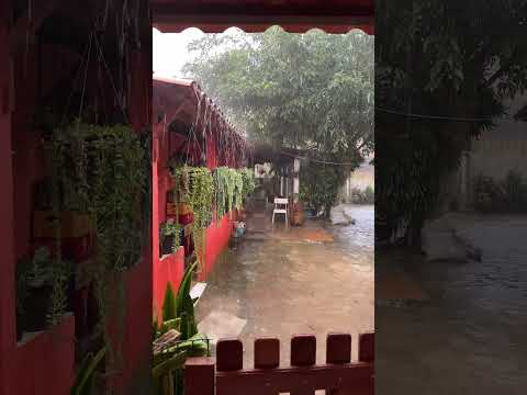 Bom dia 🌧️❄️ #segundou #guaramiranga #guaramirangaverde #ceará #nordeste #brasil