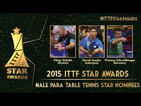 Who will be the 2015 Male Para Table Tennis Star