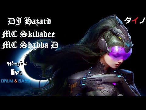 DJ Hazard & MC's Skibadee,Shabba D - Westfestドラムベース