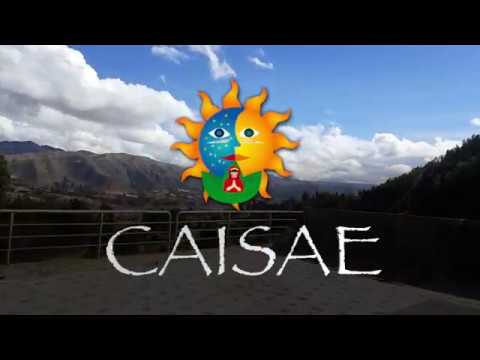 CAISAE  - Shamanic Center for Spiritual Healing  #ayahuascacusco #wachumacusco