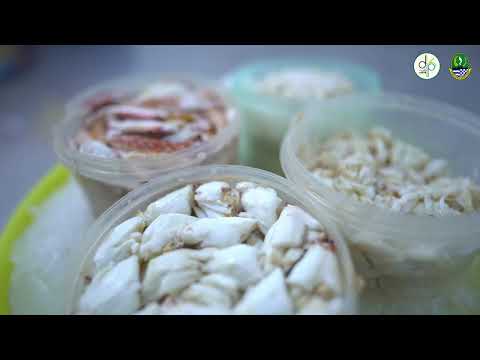 Blue Swimming Crab - Sustainable Fishery Management in West Java, Indonesia
