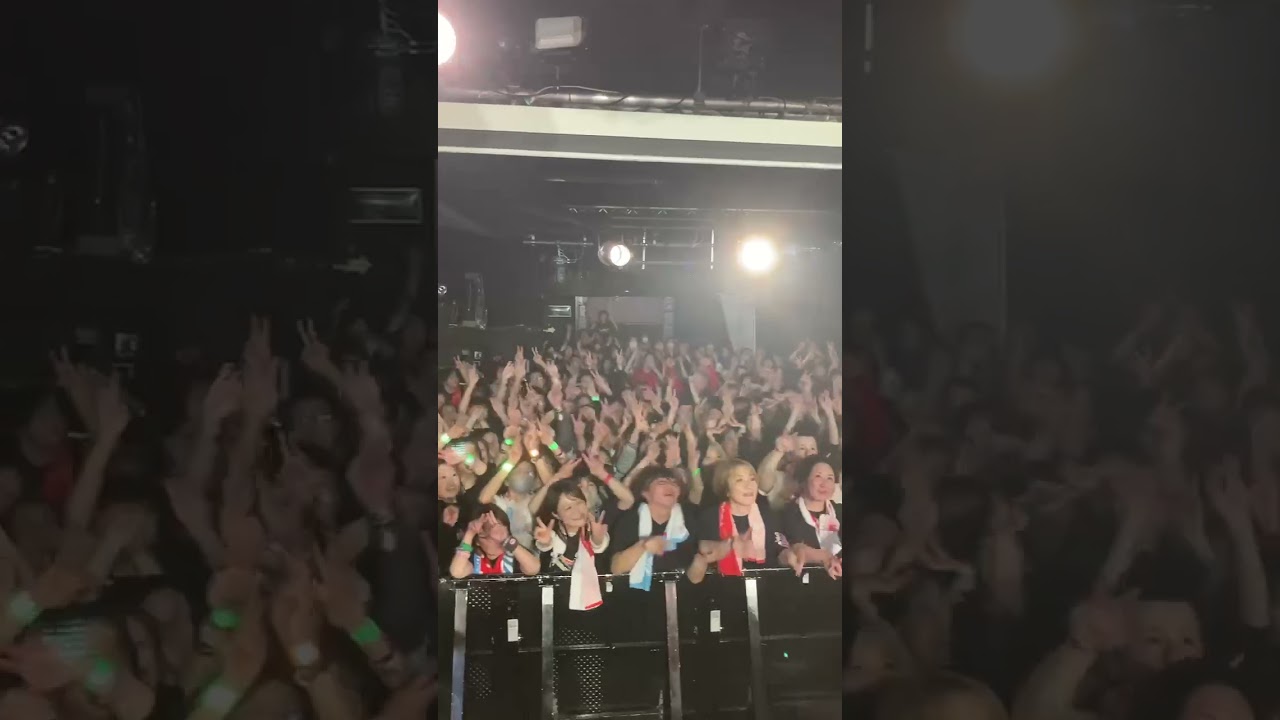 ライブハウス最幸!! #shorts #オメでたい頭でなにより #live