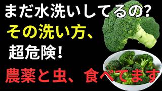 野菜は水洗いだけで安全？知らないと危険…健康寿命を守る正しい洗い方