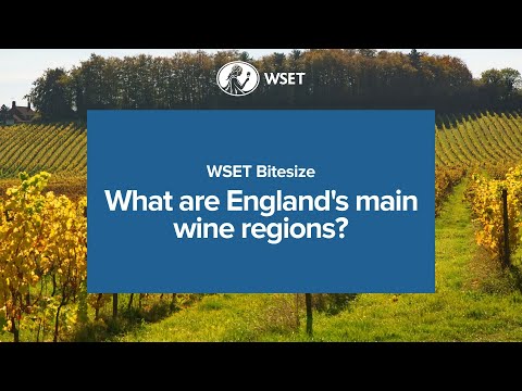 WSET Bitesize - What are England's main wine regions