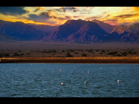 Psaume 70 en Hébreu. Psalm 70 in Hebrew. תְּהִלִּים Mizmôr 'Aïn