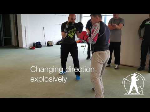 IZVOR Seminar Holland 2016 Fist Fighting