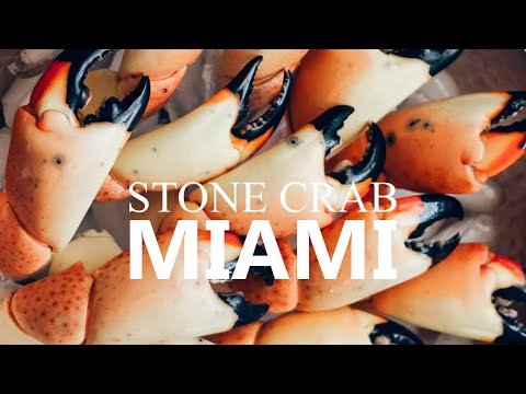 EATING LARGE STONE CRAB CLAWS IN MIAMI!!!