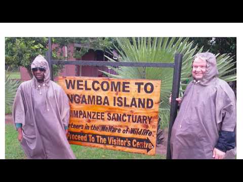 A Visit at Ngamba Island