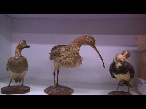 Il Liceo "F. Buonarroti": scienze davvero applicate