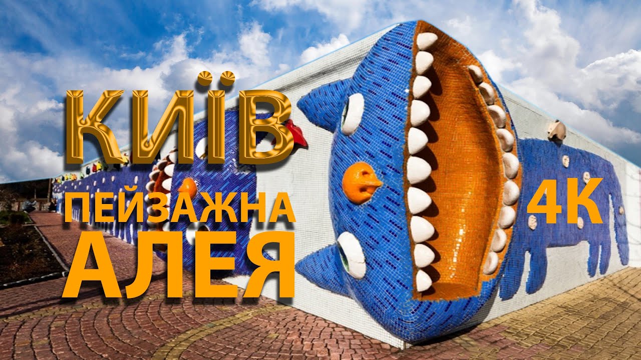 Полезное видео