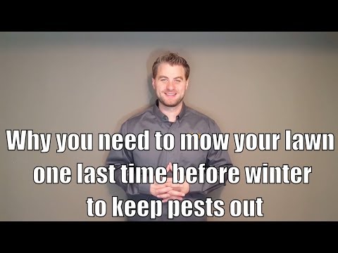 Why you need to mow your lawn one last time before winter to keep pests out