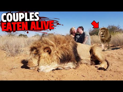 1 Hour of Couples Killed Together By Deadly Predators!