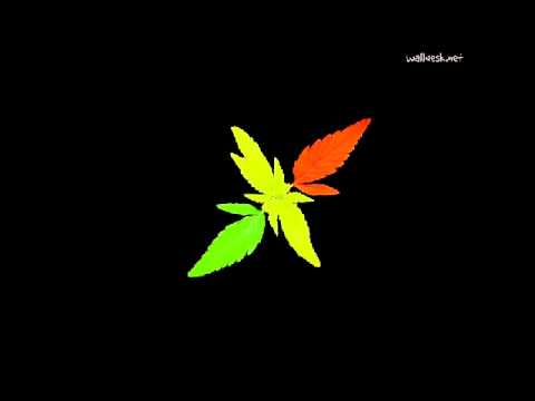 Numaz feat Julia - Legalizzala (Dubplate x Selection Master Crew)