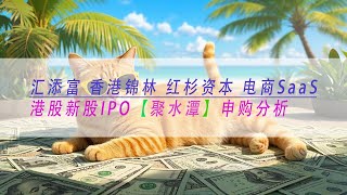 【聚水潭】 汇添富 香港锦林 红杉资本 电商SaaS港股新股IPO 申购分析