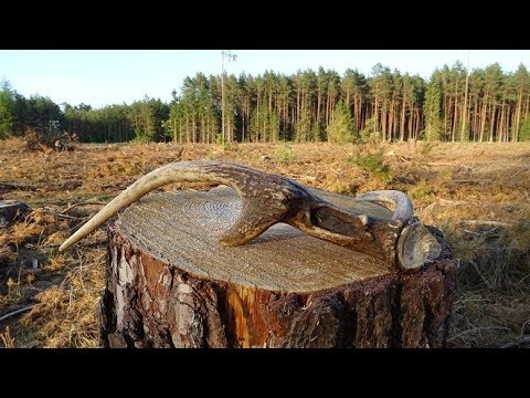 Kapsułki na potencję bez recepty Rasputina Krople suplementy diety dla potencji