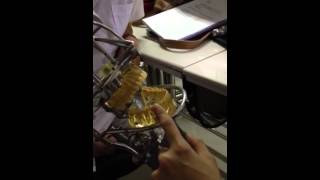 Ekstraksi Gigi (Praktikum)