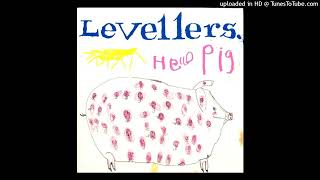 levellers -Red Sun Burns / gold and silver