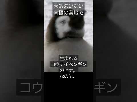 IUCN分類における絶滅の危険性を示す図。