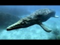 The Largest Carnivorous Predator In Prehistory ...