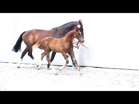 OLIVER   UNTOUCHABLE X INDOCTRO