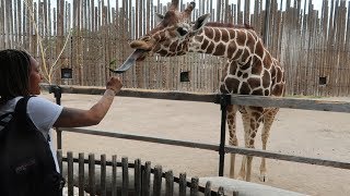 FAMILY FUN DAY AT THE ZOO! | Daily Dose S2Ep259