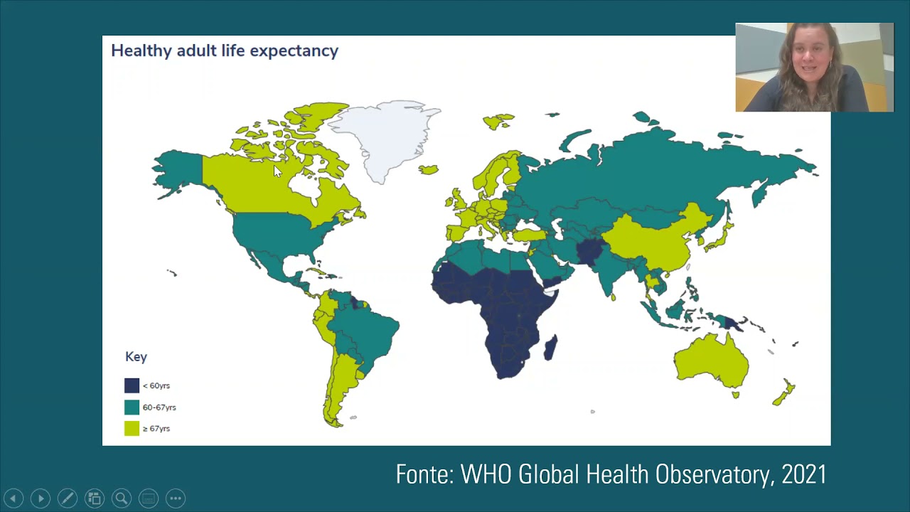 Transição Nutricional. Profa. Ana Eliza Port Lourenço