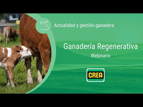 Ganadería regenerativa en Argentina | Ezequiel Sack