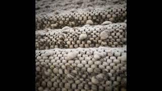 Carousel navigation image position 7 of 7