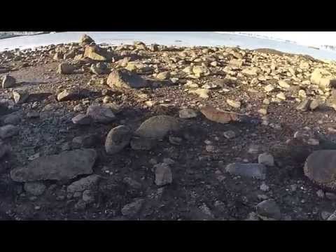 12. Cross roads! Update from Salem beach