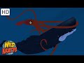 Ocean Creatures | Sharks, Whales, Squid + more! [Full Episodes] Wild Kratts