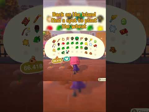 The Ultimate Guide to Obtaining Wheat in Animal Crossing