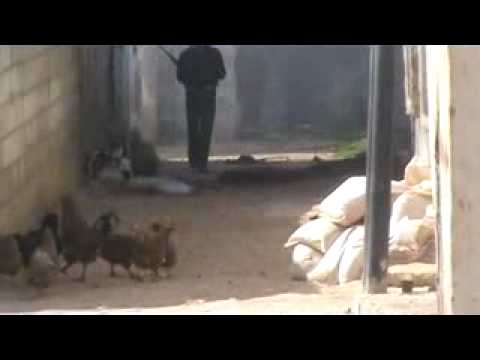 اشتباكات بين عناصر كتيبة ثوار البياضة وقوات النظام في دير بعلبة