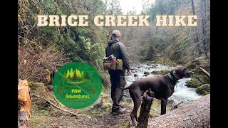 Brice Creek hike