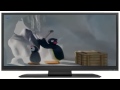 Pingu And The Band