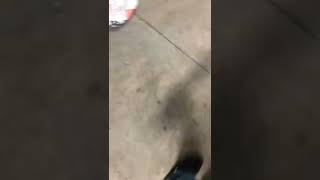 2016 Ford Edge 2.0 Turbo  Bank 1 Sensor 1 replacement and location