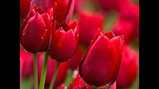 Ojitos de golondrina Joan Sebastian