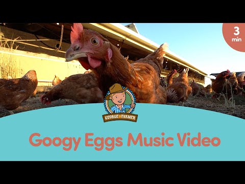 George the Farmer Concept Store