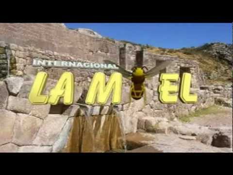 La Miel - Ya te casaste ( Full HD )