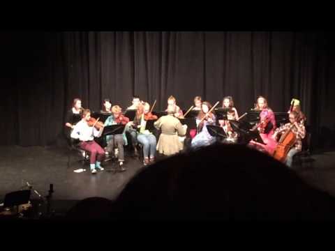 Keigan string and woodwind orchestra