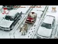 John Denver ~ Silver Bells ~ Baz