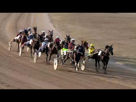 2019.02.23. 05. futam - BŰVÉSZ HENDIKEP