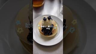 ホットケーキ焼いたり🥞#vlog #田舎暮らし #日常vlog #古民家  #ヤギ