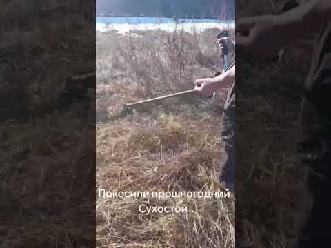 фото косим все - траву, бурьян, кустарник, запущенные участки 0