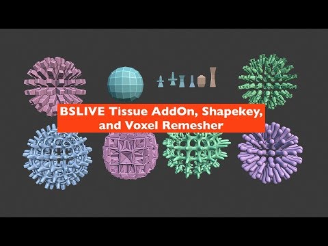 BSLIVE Tissue Add On, Shapekeys and Voxel Remesher