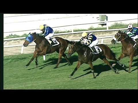 Napoli Galoppo 29/10/2022 - 4ª corsa