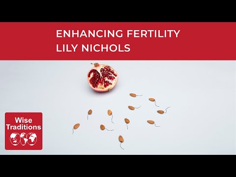 What Helps Fertility And What Hurts It With Lily Nichols Episode 530