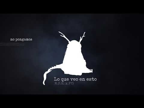 Lo que veo en esto -  M.P.H. x F15 (prod. FOS)