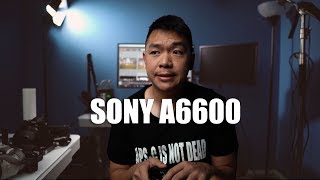 Sony a6600/a6100 Specs: APS-C is Not Dead